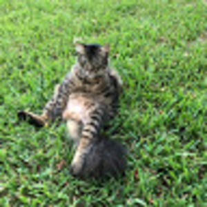 Meet your Posher, Stella